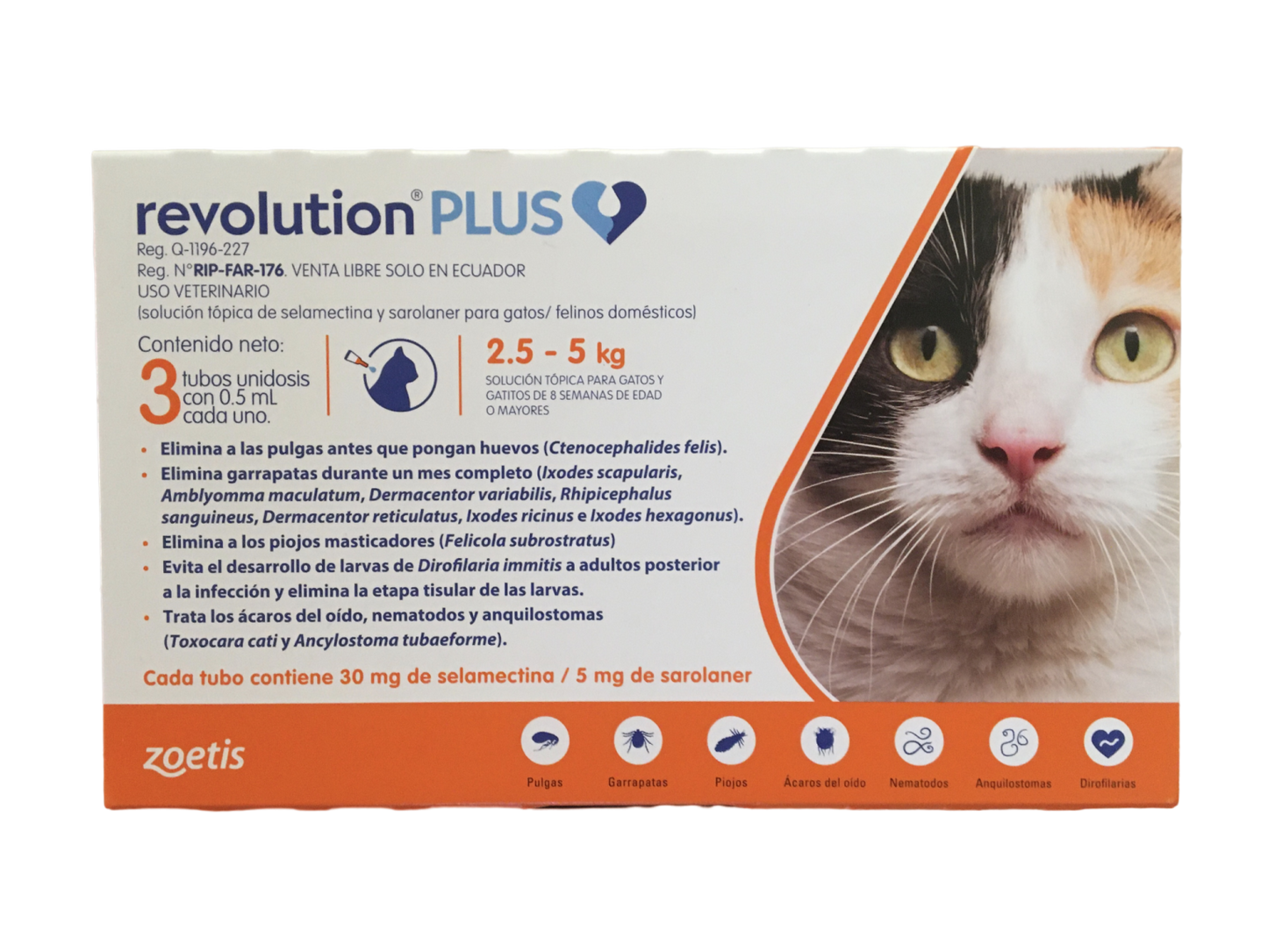 Revolutin plus