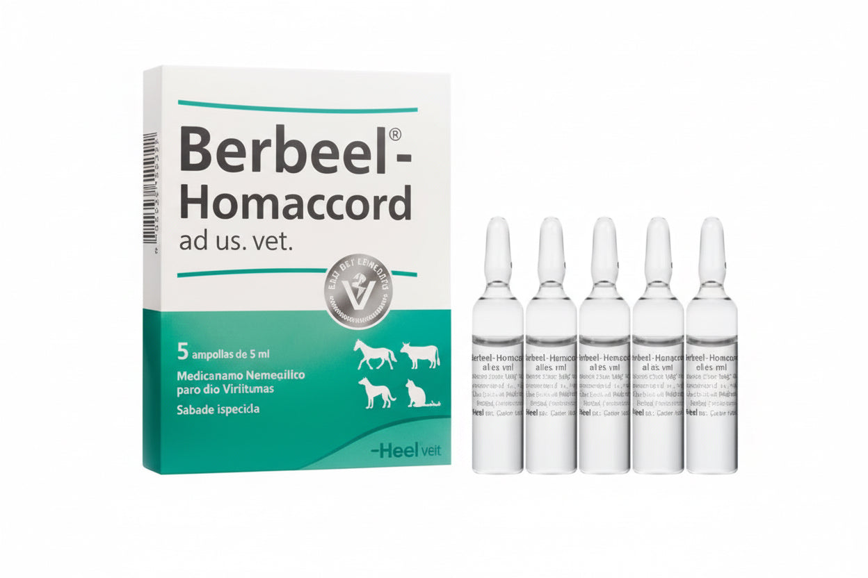 Berbeel Homaccord (x 5 ampollas)