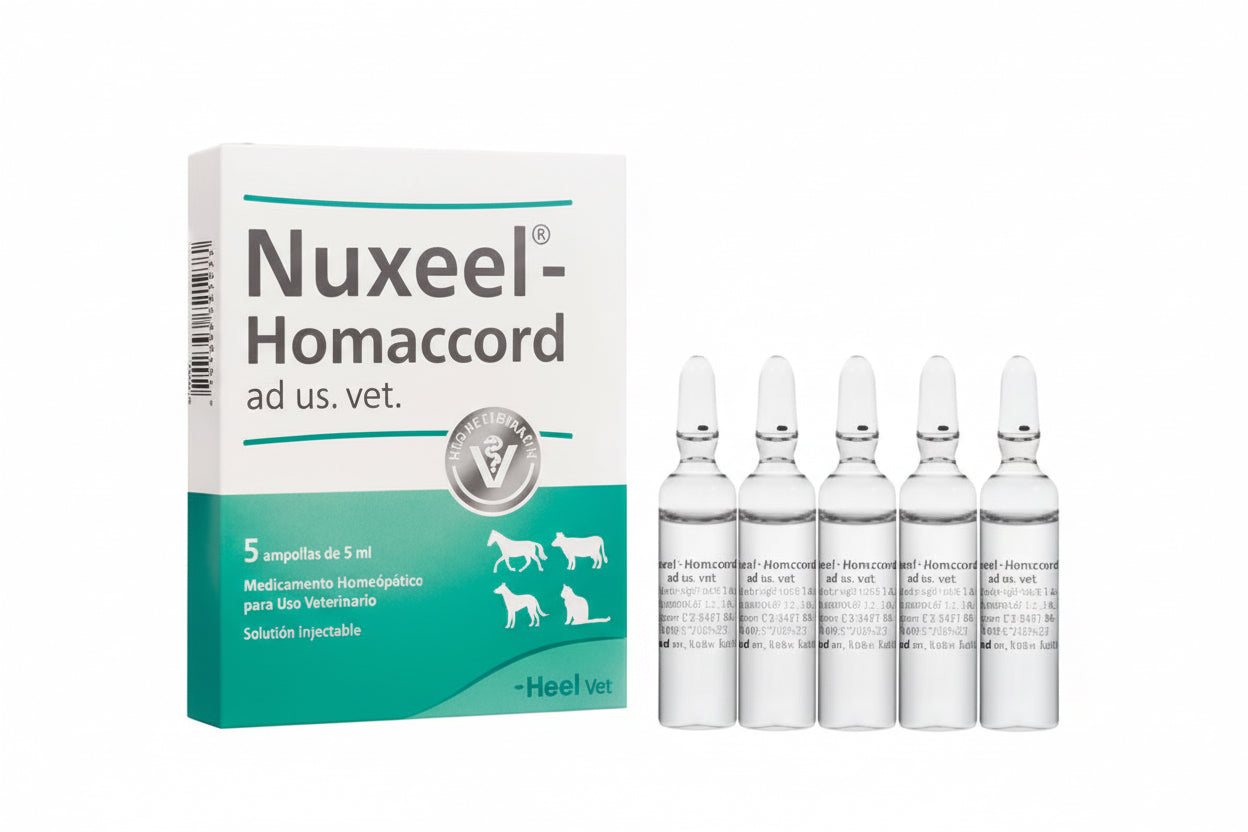 Nuxeel Homaccord ad us vet (x 5 ampollas)