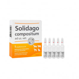 Solidago (x 5 ampollas)