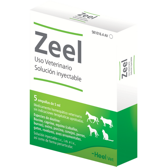 Zeel (x 5 ampollas)