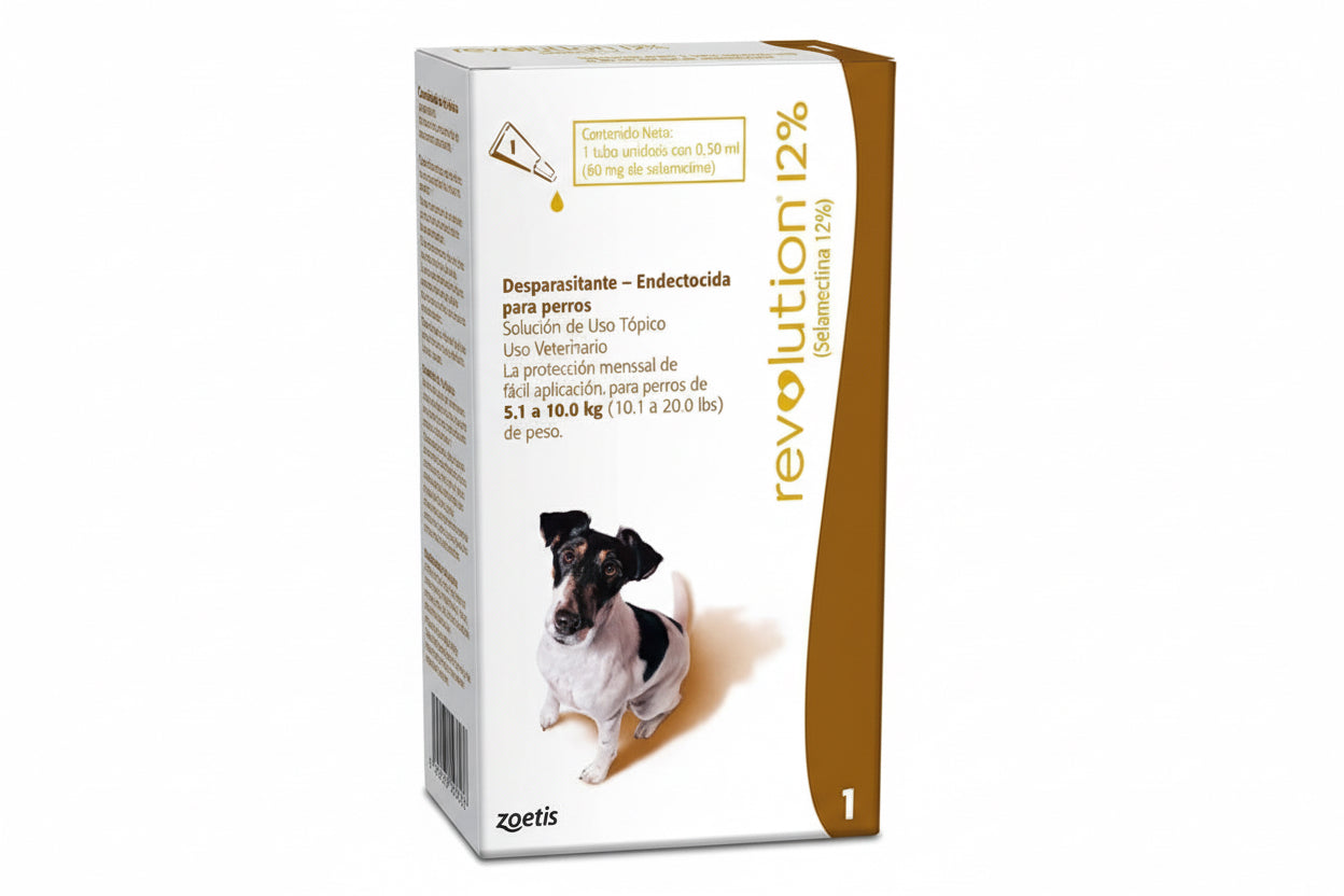 Revolution 12% (0,50 ml) café