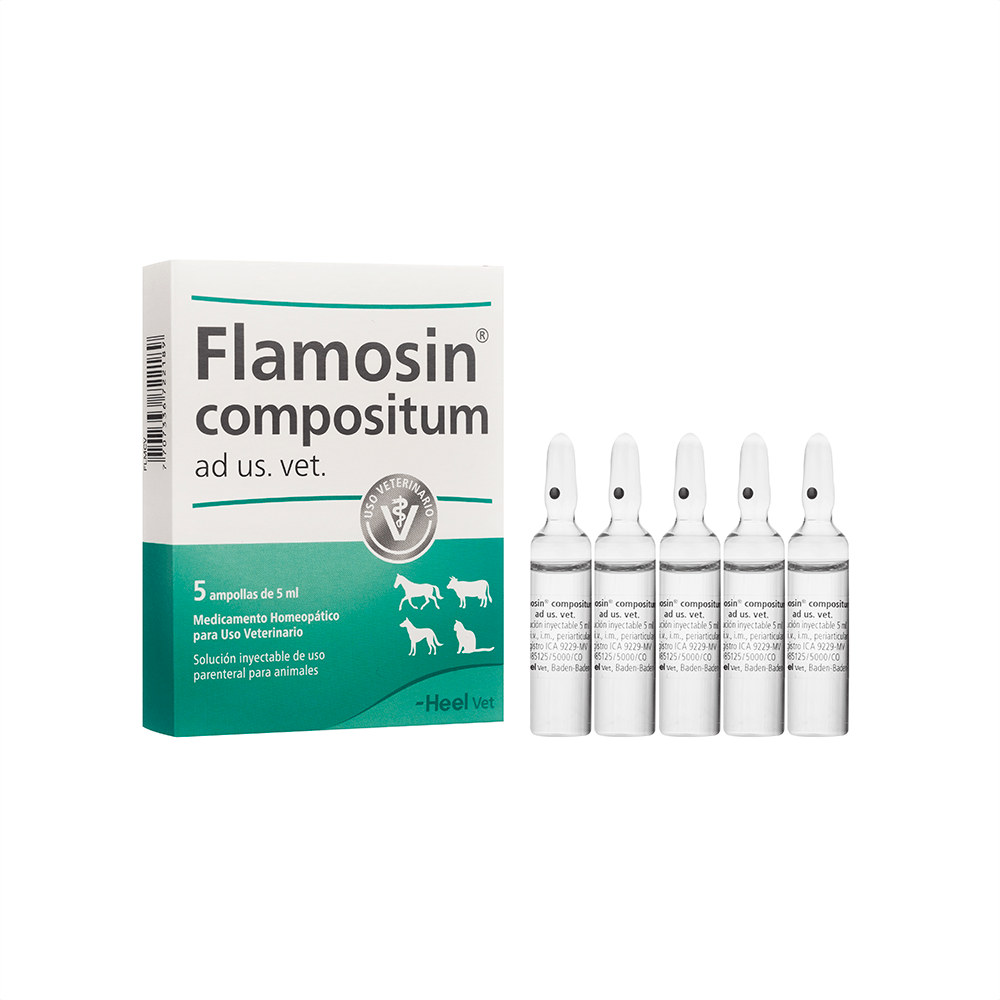 Flamosin Compositum (x 5 ampollas)