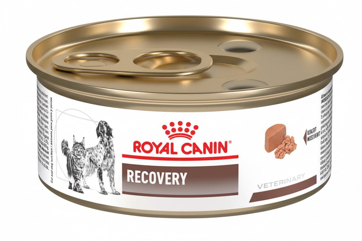 VHN Recovery lata (0,14 kg)